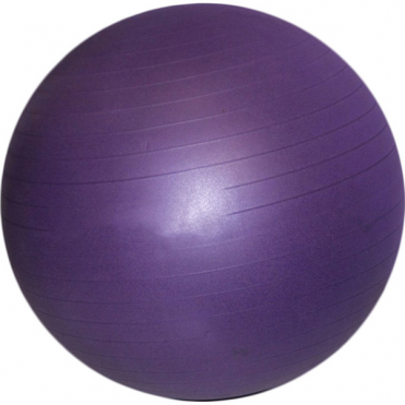 Мяч гимнастический 65 см Gym Ball Anti-Burst 1000 гр фиолетовый D26126 10015386